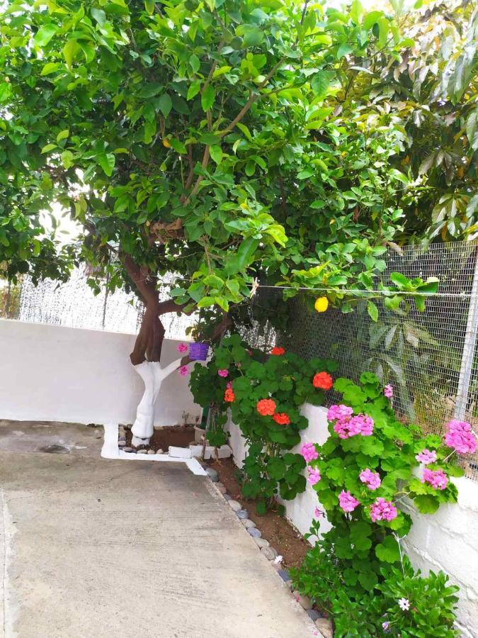 Meimetis Green House Neápolis Екстериор снимка